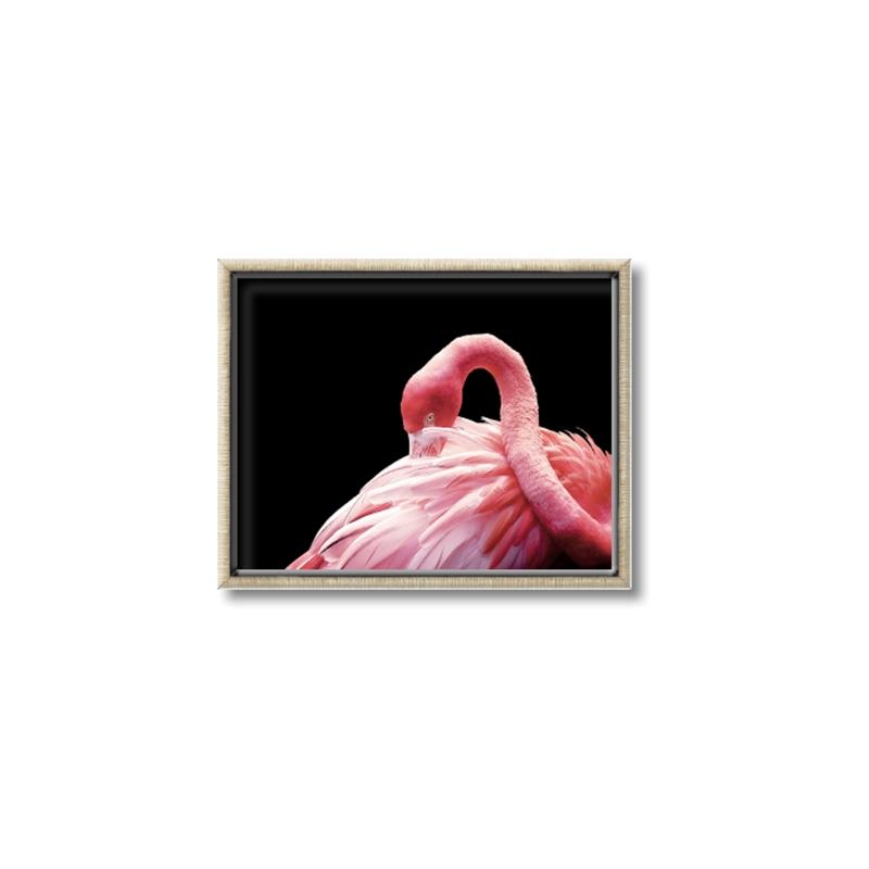 Picture of Pink in Contrast  _GroupedProduct_Rectangle_Landscape_Photography _GroupedProduct_Rectangle_Landscape_Canvas_Framed_