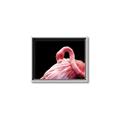Picture of Pink in Contrast  _GroupedProduct_Rectangle_Landscape_Photography _GroupedProduct_Rectangle_Landscape_Canvas_Framed_
