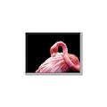 Picture of Pink in Contrast  _GroupedProduct_Rectangle_Landscape_Photography _GroupedProduct_Rectangle_Landscape_Canvas_Framed_