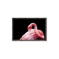 Picture of Pink in Contrast  _GroupedProduct_Rectangle_Landscape_Photography _GroupedProduct_Rectangle_Landscape_Canvas_Framed_
