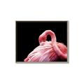 Picture of Pink in Contrast  _GroupedProduct_Rectangle_Landscape_Photography _GroupedProduct_Rectangle_Landscape_Canvas_Framed_