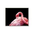 Picture of Pink in Contrast  _GroupedProduct_Rectangle_Landscape_Photography _GroupedProduct_Rectangle_Landscape_Canvas_Framed_