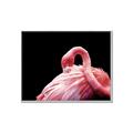 Picture of Pink in Contrast  _GroupedProduct_Rectangle_Landscape_Photography _GroupedProduct_Rectangle_Landscape_Canvas_Framed_