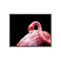 Picture of Pink in Contrast  _GroupedProduct_Rectangle_Landscape_Photography _GroupedProduct_Rectangle_Landscape_Canvas_Framed_