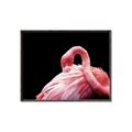 Picture of Pink in Contrast  _GroupedProduct_Rectangle_Landscape_Photography _GroupedProduct_Rectangle_Landscape_Canvas_Framed_