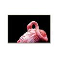 Picture of Pink in Contrast  _GroupedProduct_Rectangle_Landscape_Photography _GroupedProduct_Rectangle_Landscape_Canvas_Framed_