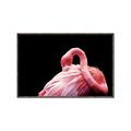 Picture of Pink in Contrast  _GroupedProduct_Rectangle_Landscape_Photography _GroupedProduct_Rectangle_Landscape_Canvas_Framed_