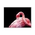 Picture of Pink in Contrast  _GroupedProduct_Rectangle_Landscape_Photography _GroupedProduct_Rectangle_Landscape_Canvas_Framed_
