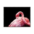 Picture of Pink in Contrast  _GroupedProduct_Rectangle_Landscape_Photography _GroupedProduct_Rectangle_Landscape_Canvas_Framed_