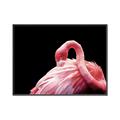 Picture of Pink in Contrast  _GroupedProduct_Rectangle_Landscape_Photography _GroupedProduct_Rectangle_Landscape_Canvas_Framed_