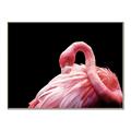 Picture of Pink in Contrast  _GroupedProduct_Rectangle_Landscape_Photography _GroupedProduct_Rectangle_Landscape_Canvas_Framed_