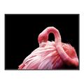 Picture of Pink in Contrast  _GroupedProduct_Rectangle_Landscape_Photography _GroupedProduct_Rectangle_Landscape_Canvas_Framed_