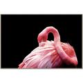 Picture of Pink in Contrast  _GroupedProduct_Rectangle_Landscape_Photography _GroupedProduct_Rectangle_Landscape_Canvas_Framed_