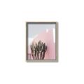 Picture of Pink Cactus II _GroupedProduct_Rectangle_Portrait_Photography _GroupedProduct_Rectangle_Portrait_Canvas_Framed_