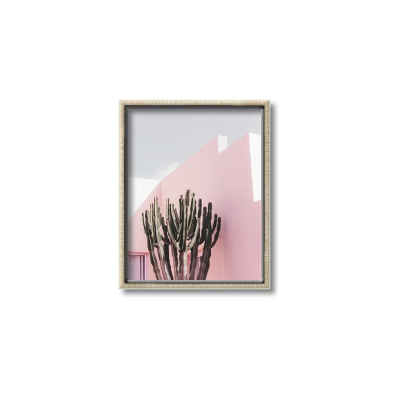 Picture of Pink Cactus II _GroupedProduct_Rectangle_Portrait_Photography _GroupedProduct_Rectangle_Portrait_Canvas_Framed_