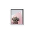 Picture of Pink Cactus II _GroupedProduct_Rectangle_Portrait_Photography _GroupedProduct_Rectangle_Portrait_Canvas_Framed_