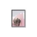 Picture of Pink Cactus II _GroupedProduct_Rectangle_Portrait_Photography _GroupedProduct_Rectangle_Portrait_Canvas_Framed_