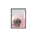 Picture of Pink Cactus II _GroupedProduct_Rectangle_Portrait_Photography _GroupedProduct_Rectangle_Portrait_Canvas_Framed_