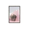 Picture of Pink Cactus II _GroupedProduct_Rectangle_Portrait_Photography _GroupedProduct_Rectangle_Portrait_Canvas_Framed_