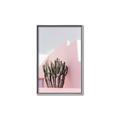 Picture of Pink Cactus II _GroupedProduct_Rectangle_Portrait_Photography _GroupedProduct_Rectangle_Portrait_Canvas_Framed_
