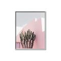 Picture of Pink Cactus II _GroupedProduct_Rectangle_Portrait_Photography _GroupedProduct_Rectangle_Portrait_Canvas_Framed_