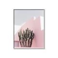 Picture of Pink Cactus II _GroupedProduct_Rectangle_Portrait_Photography _GroupedProduct_Rectangle_Portrait_Canvas_Framed_
