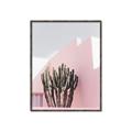 Picture of Pink Cactus II _GroupedProduct_Rectangle_Portrait_Photography _GroupedProduct_Rectangle_Portrait_Canvas_Framed_