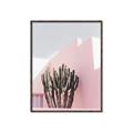 Picture of Pink Cactus II _GroupedProduct_Rectangle_Portrait_Photography _GroupedProduct_Rectangle_Portrait_Canvas_Framed_