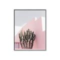Picture of Pink Cactus II _GroupedProduct_Rectangle_Portrait_Photography _GroupedProduct_Rectangle_Portrait_Canvas_Framed_
