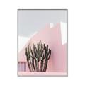 Picture of Pink Cactus II _GroupedProduct_Rectangle_Portrait_Photography _GroupedProduct_Rectangle_Portrait_Canvas_Framed_