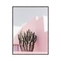 Picture of Pink Cactus II _GroupedProduct_Rectangle_Portrait_Photography _GroupedProduct_Rectangle_Portrait_Canvas_Framed_