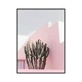 Picture of Pink Cactus II _GroupedProduct_Rectangle_Portrait_Photography _GroupedProduct_Rectangle_Portrait_Canvas_Framed_