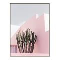 Picture of Pink Cactus II _GroupedProduct_Rectangle_Portrait_Photography _GroupedProduct_Rectangle_Portrait_Canvas_Framed_