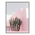 Picture of Pink Cactus II _GroupedProduct_Rectangle_Portrait_Photography _GroupedProduct_Rectangle_Portrait_Canvas_Framed_