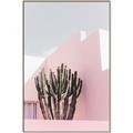 Picture of Pink Cactus II _GroupedProduct_Rectangle_Portrait_Photography _GroupedProduct_Rectangle_Portrait_Canvas_Framed_