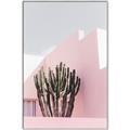 Picture of Pink Cactus II _GroupedProduct_Rectangle_Portrait_Photography _GroupedProduct_Rectangle_Portrait_Canvas_Framed_