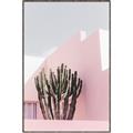 Picture of Pink Cactus II _GroupedProduct_Rectangle_Portrait_Photography _GroupedProduct_Rectangle_Portrait_Canvas_Framed_