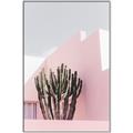 Picture of Pink Cactus II _GroupedProduct_Rectangle_Portrait_Photography _GroupedProduct_Rectangle_Portrait_Canvas_Framed_