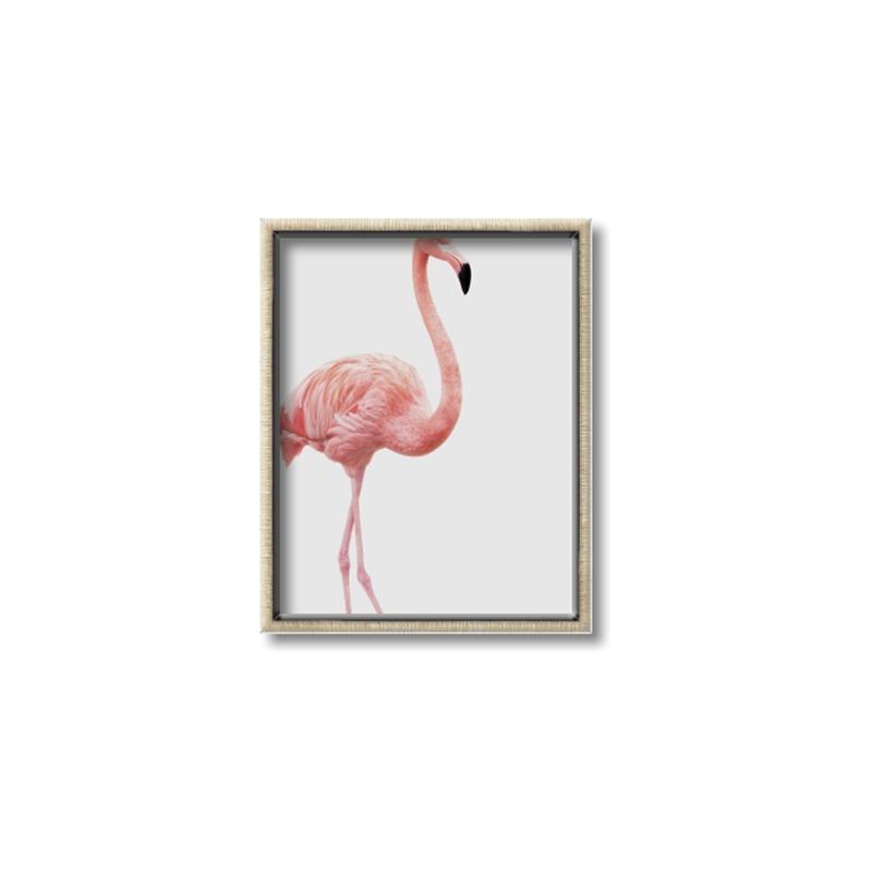 Picture of Pinkfully Perfect  _GroupedProduct_Rectangle_Portrait_Photography _GroupedProduct_Rectangle_Portrait_Canvas_Framed_