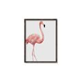 Picture of Pinkfully Perfect  _GroupedProduct_Rectangle_Portrait_Photography _GroupedProduct_Rectangle_Portrait_Canvas_Framed_