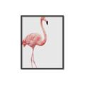 Picture of Pinkfully Perfect  _GroupedProduct_Rectangle_Portrait_Photography _GroupedProduct_Rectangle_Portrait_Canvas_Framed_