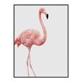 Picture of Pinkfully Perfect  _GroupedProduct_Rectangle_Portrait_Photography _GroupedProduct_Rectangle_Portrait_Canvas_Framed_