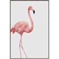 Picture of Pinkfully Perfect  _GroupedProduct_Rectangle_Portrait_Photography _GroupedProduct_Rectangle_Portrait_Canvas_Framed_