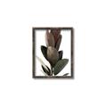 Picture of Plant Life _GroupedProduct_Rectangle_Portrait_Photography _GroupedProduct_Rectangle_Portrait_Canvas_Framed_