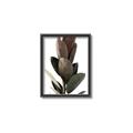 Picture of Plant Life _GroupedProduct_Rectangle_Portrait_Photography _GroupedProduct_Rectangle_Portrait_Canvas_Framed_