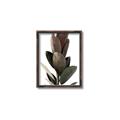 Picture of Plant Life _GroupedProduct_Rectangle_Portrait_Photography _GroupedProduct_Rectangle_Portrait_Canvas_Framed_