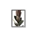 Picture of Plant Life _GroupedProduct_Rectangle_Portrait_Photography _GroupedProduct_Rectangle_Portrait_Canvas_Framed_