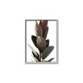 Picture of Plant Life _GroupedProduct_Rectangle_Portrait_Photography _GroupedProduct_Rectangle_Portrait_Canvas_Framed_