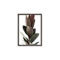 Picture of Plant Life _GroupedProduct_Rectangle_Portrait_Photography _GroupedProduct_Rectangle_Portrait_Canvas_Framed_