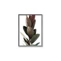 Picture of Plant Life _GroupedProduct_Rectangle_Portrait_Photography _GroupedProduct_Rectangle_Portrait_Canvas_Framed_